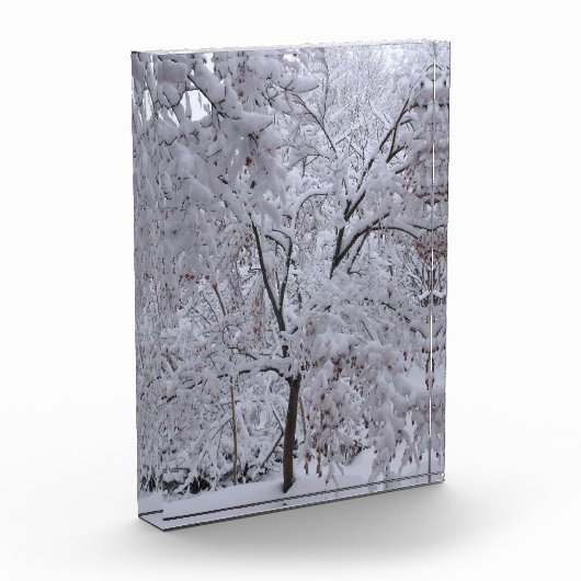 Snow-Laden-bomen Fotoblokken (Links)