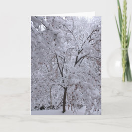 Snow-Laden-bomen Kaart