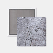 Snow-Laden-bomen Magneet (Voorkant / Achterkant)