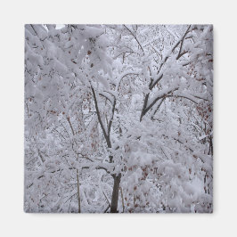 Snow-Laden-bomen Magneet