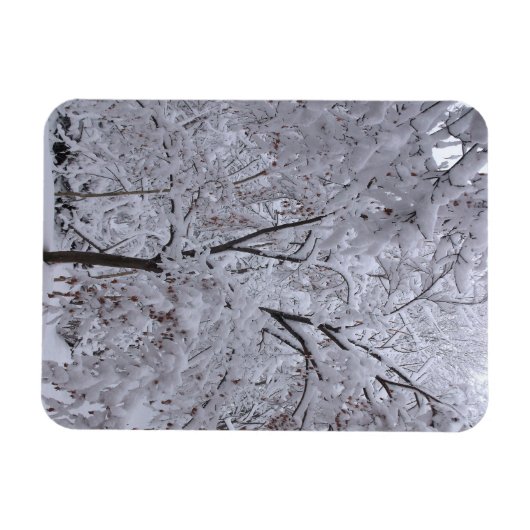 Snow-Laden-bomen Magneet (Horizontaal)