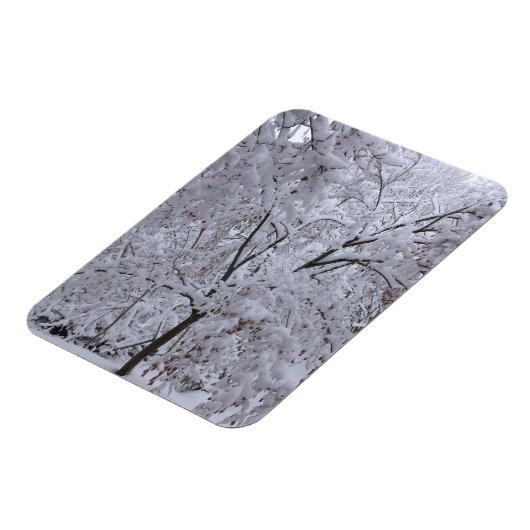 Snow-Laden-bomen Magneet (Linkerzijde)