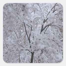 Snow-Laden-bomen Vierkante Sticker