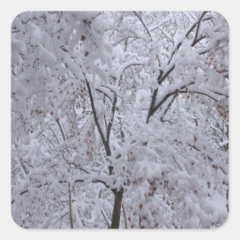 Snow-Laden-bomen Vierkante Sticker