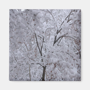 Snow-Laden Trees Magneet