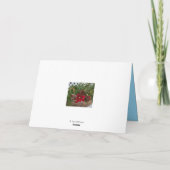 Snow Lady Christmas Kaart (Achterkant)