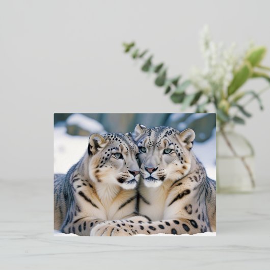 Snow Leopard Animal Natuur Wildlife Affectie Liefd Folie Feestdagen Briefkaart (Staand Voorkant)