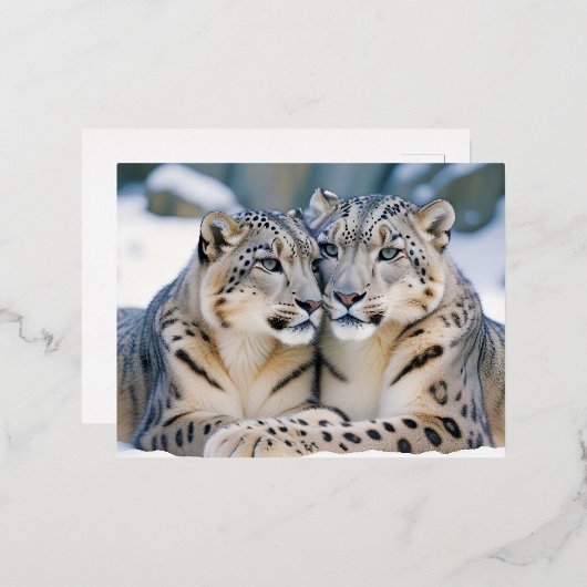 Snow Leopard Animal Natuur Wildlife Affectie Liefd Folie Feestdagen Briefkaart (Voorkant / Achterkant)