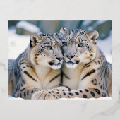 Snow Leopard Animal Natuur Wildlife Affectie Liefd Folie Feestdagen Briefkaart (Voorkant)