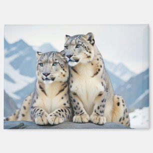 Snow Leopard Animal Natuur Wildlife Affectie Liefd Magneet