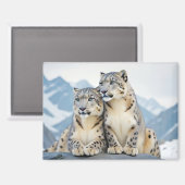 Snow Leopard Animal Natuur Wildlife Affectie Liefd Magneet (Voorkant / Achterkant)
