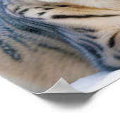 Snow Leopard Animal Natuur Wildlife Affectie Liefd Poster (Hoek)