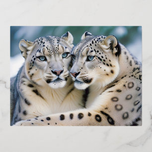 Snow Leopard Animal Natuur Wildlife Affection Cari Folie Feestdagen Briefkaart