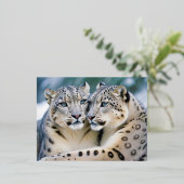 Snow Leopard Animal Natuur Wildlife Affection Cari Folie Feestdagen Briefkaart (Staand Voorkant)
