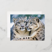 Snow Leopard Animal Natuur Wildlife Affection Cari Folie Feestdagen Briefkaart (Voorkant / Achterkant)