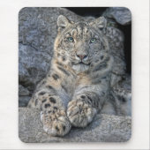 Snow Leopard Beauty Mousepad Muismat (Voorkant)