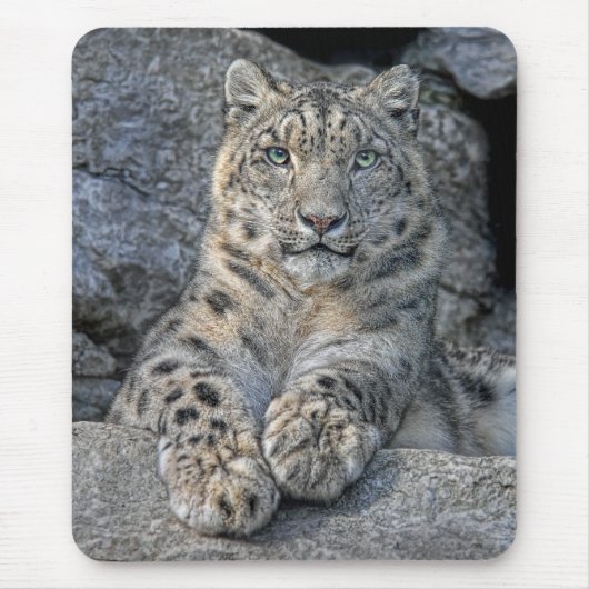 Snow Leopard Beauty Mousepad Muismat (Voorkant)