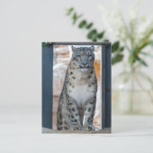 Snow Leopard Briefkaart (Staand voorkant)