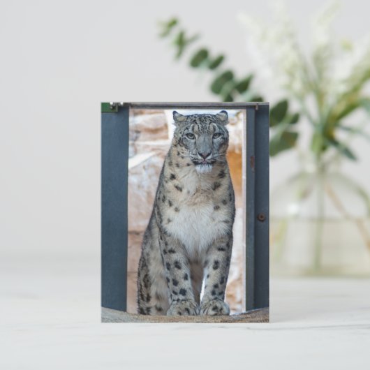 Snow Leopard Briefkaart (Staand voorkant)