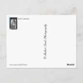 Snow Leopard Briefkaart (Achterkant)