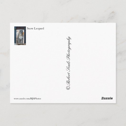 Snow Leopard Briefkaart (Achterkant)