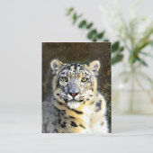 Snow Leopard Briefkaart (Staand voorkant)