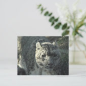 Snow Leopard Briefkaart (Staand voorkant)