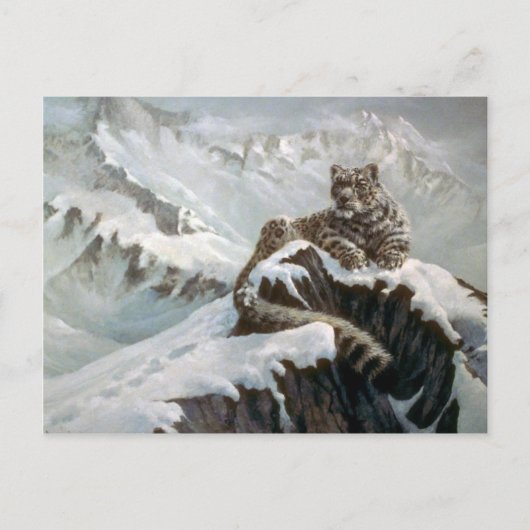 Snow Leopard Briefkaart (Voorkant)