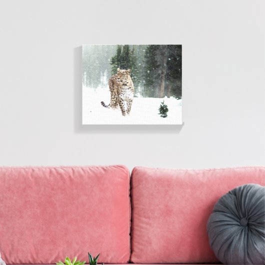 Snow Leopard Canvas Afdruk (Insitu (Woonkamer))