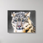 Snow Leopard Canvas Afdruk (Voorkant)