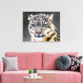Snow Leopard Canvas Afdruk (Insitu (Woonkamer))