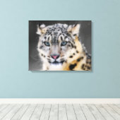 Snow Leopard Canvas Afdruk (Insitu (Houten vloer))