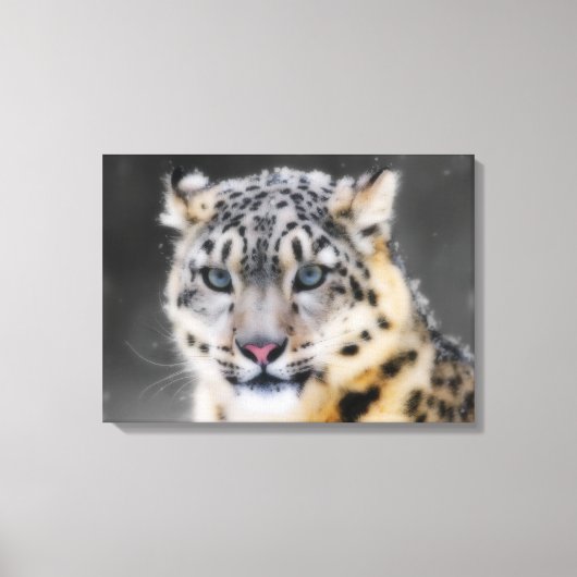 Snow Leopard Canvas Afdruk (Voorkant)