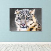 Snow Leopard Canvas Afdruk (Insitu (Houten vloer))