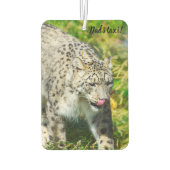 Snow Leopard Car-luchtverfrisser Luchtverfrisser (Achterkant)