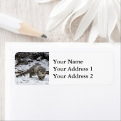 Snow Leopard Cub Etiket (Insitu)