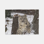 Snow Leopard Cub Fleece Deken (Voorkant (Horizontaal))