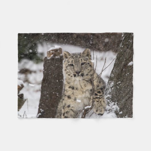 Snow Leopard Cub Fleece Deken (Voorkant (Horizontaal))