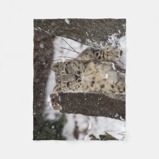 Snow Leopard Cub Fleece Deken (Voorkant)