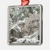 Snow Leopard Cub Hiding Metalen Ornament (Links)