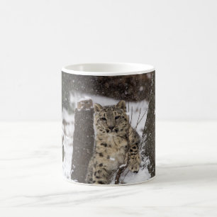 Snow Leopard Cub Koffiemok