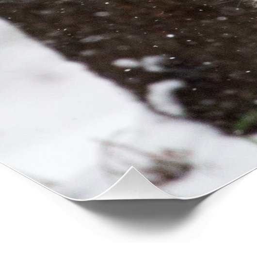 Snow Leopard Cub Poster (Hoek)