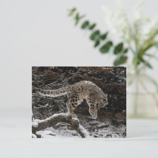 Snow Leopard Cub Pounce Briefkaart (Staand voorkant)