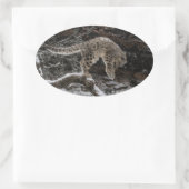 Snow Leopard Cub Pounce Ovale Sticker (Tas)