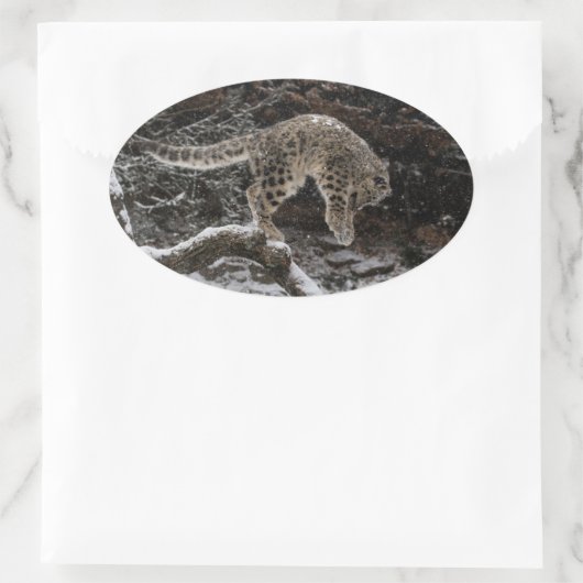 Snow Leopard Cub Pounce Ovale Sticker (Tas)