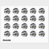 Snow Leopard Cub Ronde Sticker (Vel)