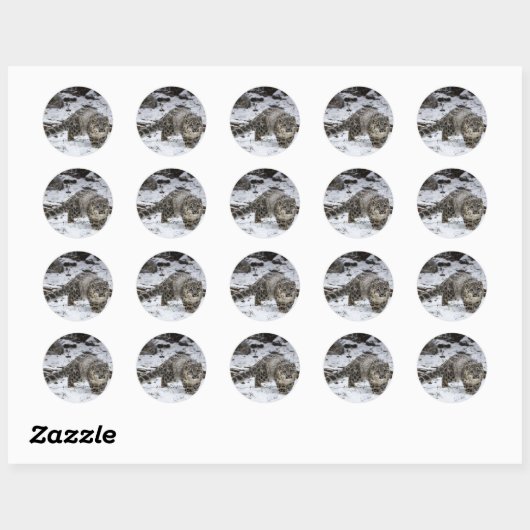 Snow Leopard Cub Ronde Sticker (Vel)