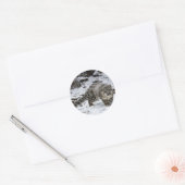 Snow Leopard Cub Ronde Sticker (Envelop)