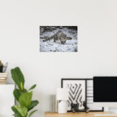 Snow Leopard Cub Stalking Poster (Thuiskantoor)