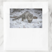 Snow Leopard Cub Stalking Rechthoekige Sticker (Tas)